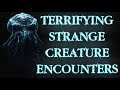 6 TERRIFYING ENCOUNTERS With STRANGE CREATURES CREEP FACTOR