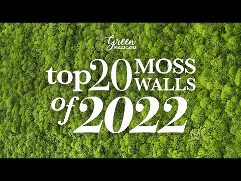 Top 20 Moss Walls of 2022 - Green Wallscapes