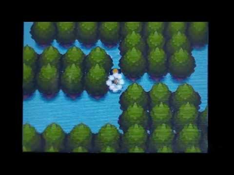 Pokemon Soul Silver Part 16-The Odd Tree