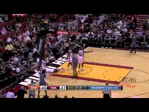 Dwyane Wade 09-10 Season Highlights HD