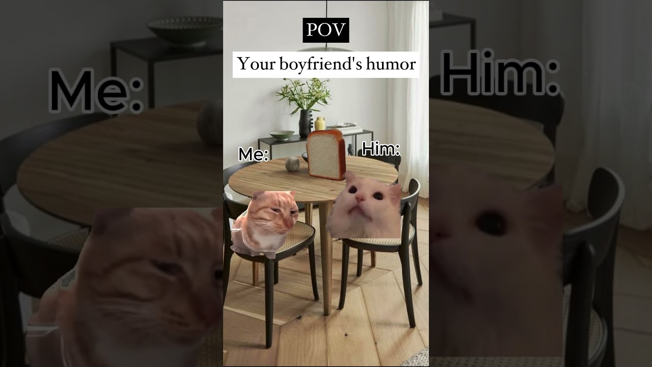 Sudut pandang: humor pacarmu, meme kucing pasangan pacar #kucing #pasangan #pacar #kucinglucu