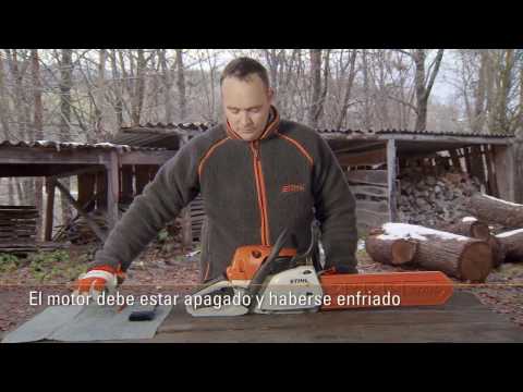 Motosierra Stihl Nafta Vaina 40cm 45.4cc Ms250 + Lima | Mercado Libre