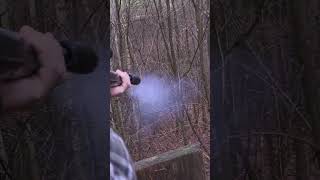 7 Frischlinge für Gerold 🐗 von  ⁨@hunterbrothersofficial⁩