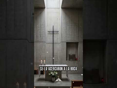 Evangelio lunes 25 de mayo 2026