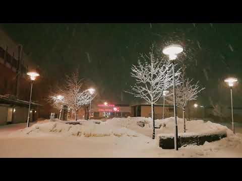 Vårby Gård, Snow (Stockholm)