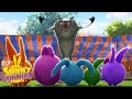 SUNNY BUNNIES - SEASON 1 MARATHON! | Cartoons for Kids