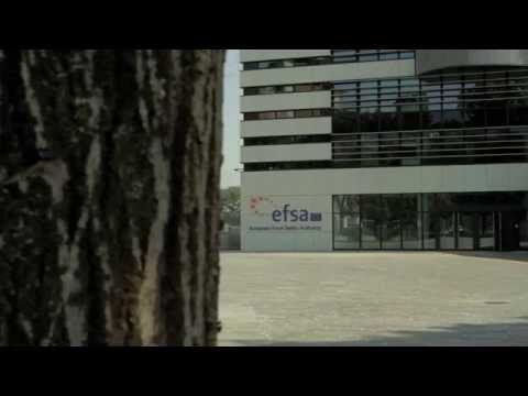 EFSA Building Exterior Broll