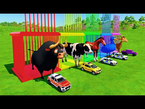 RESCUE ANIMALS - TRANSPORTING FERDINAND COWS, DAIRY COWS, HORSES, DUCKS, GOATS WITH AMBULANCE! FS22