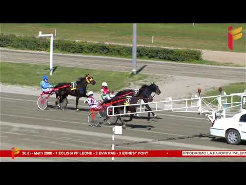 Prova di qualifica del 18 marzo 2023 - 3 Anni - Metri 2000