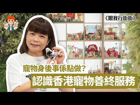 【🚶🏻‍♀️跟我行街街】🐾寵物身後事係點做？帶大家認識香港寵物善終服務！| 阮小樂園