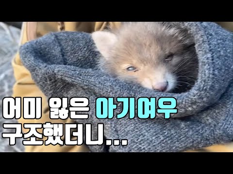 아이콘