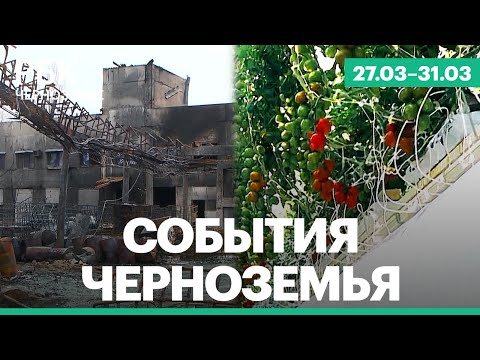 Обложка видео