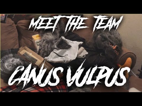 Arkosh Gaming: Meet the Team: Canus Vulpus
