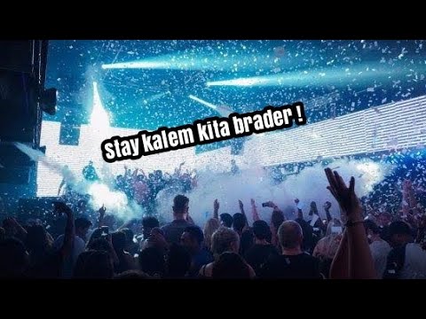 A sky full off stars jungle dutch