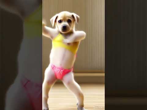 Música uma menina que não trabalha no job #shorts