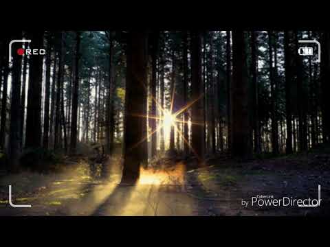 Hoy Hay Gozo. Avivando La Fe