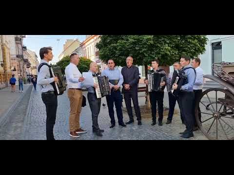 Leviții Domnului      Adeseori cărarea mea....