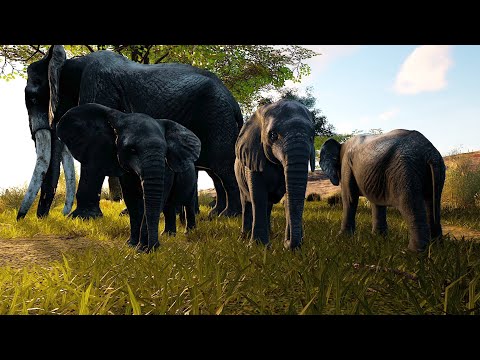Road to Elder - Elephant - Animalia Survival