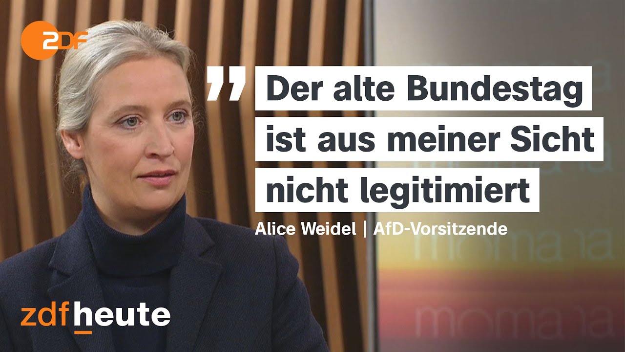 Bundestag stimmt über Finanzpaket ab - AfD-Chefin Alice Weidel im Interview