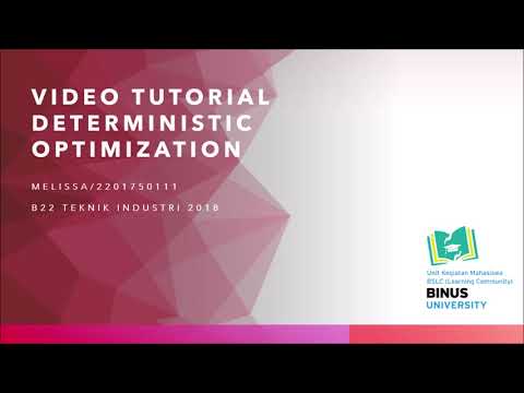 Deterministic Optimization Linear Programming Solver