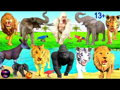 , title : 'Animals - Lion Tiger Elephant Gorilla Okapi 13+'