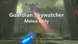 Zelda: Fighting Guardian Skywatcher with only melee