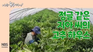 [나는농부다 266회] 정글 같은 지아 씨의 고추 하우스