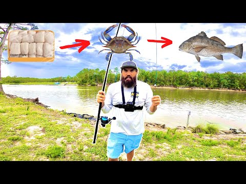 Food Chain Fishing CHALLENGE! *GIANT CAUGHT*
