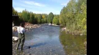 preview picture of video 'Toyota Land Cruiser 200 V8 crossing river Siberia. Russia off road'