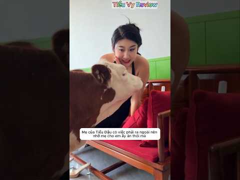 Cô ca tranh sữa của bé dê hàng xóm#shorts