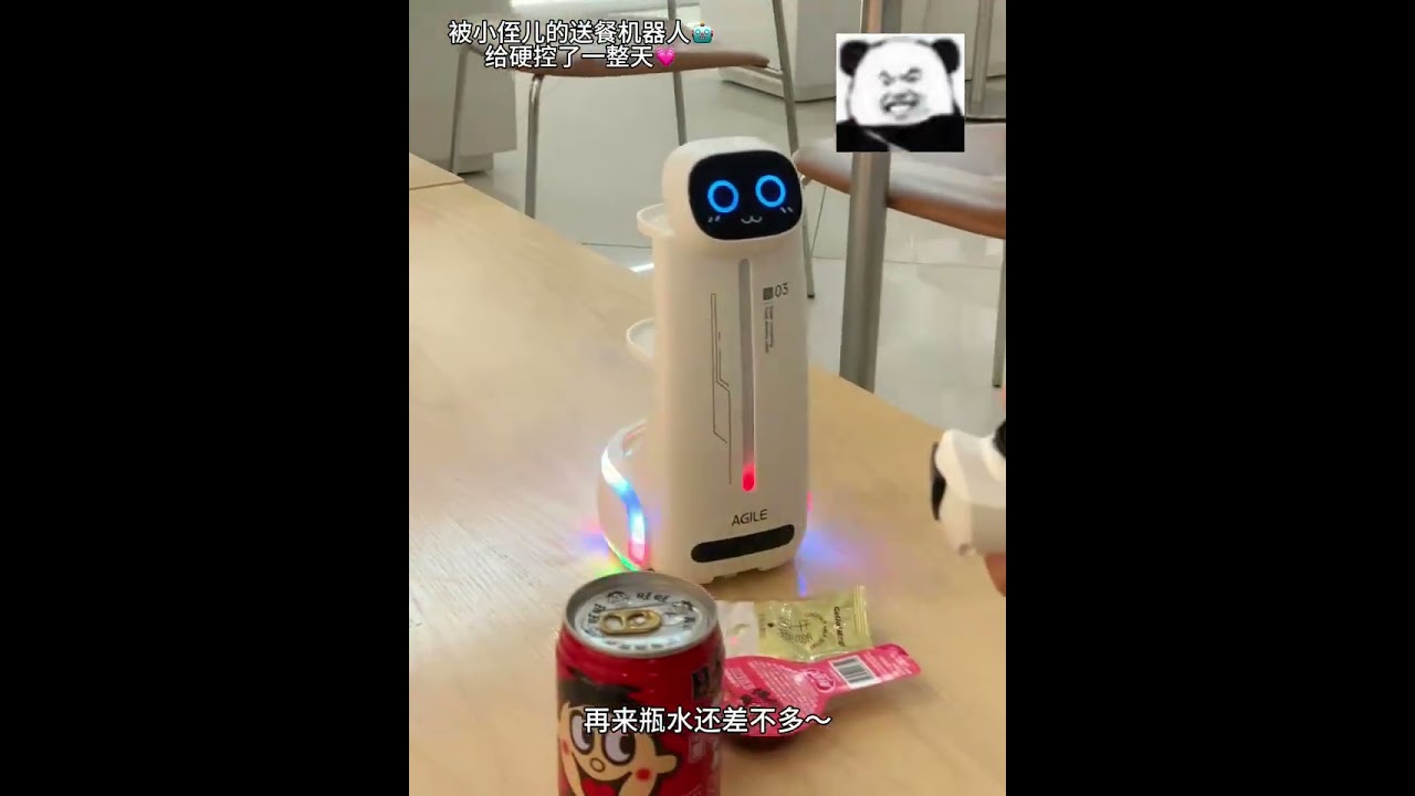 Who would refuse a remote-controlled robot that can deliver food? Internet celebrity toy remote-