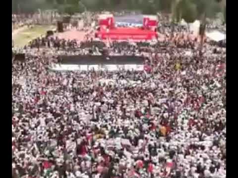 March for GAZA. Aerial view. D News
