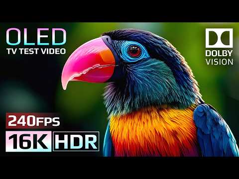 Best 16K HDR 240fps for OLED TV - Stunning Dolby Vision (Color That Breathes)