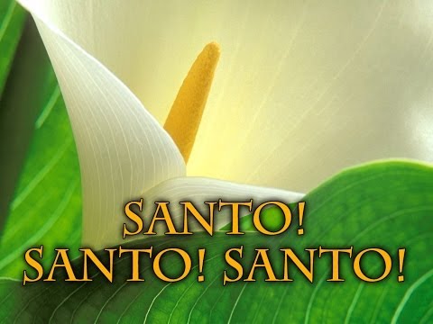 Santo! Santo! Santo! video
