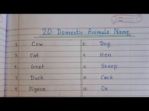 20 Domestic Animals Name In English | Domestic Animals Name | Domestic Animals