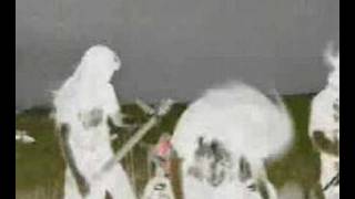 Avulsed - Powdered Flesh