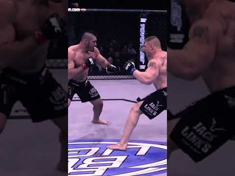 SlowMo : Brock Lesnar Most Epic & Historic Punch 👊 #ufc #shorts