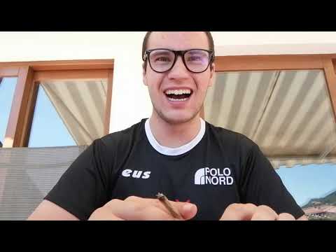 MAMBOLOSCO BOROBORO "LINDO" FT ROSA CHEMICAL "PESCA" FT BEBA  "VA COSÌ" FT DPG