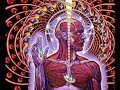 Мозг и галлюциногены. ИНТЕРЕСНЕЙШАЯ ЛЕКЦИЯ 