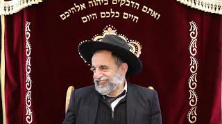הרב יהודה נקי שליט"א הלכות שבת מוקצה חלק ב'
