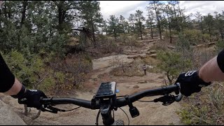 Kinnickinnick - Palmer Park - Colorado Springs