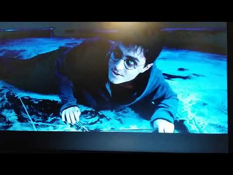 LA BATTAGLIA TRA SILENTE E VOLDEMORT Harry Potter e l' Ordine della Fenice