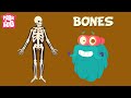 Bones | The Dr. Binocs Show | Learn Videos For Kids