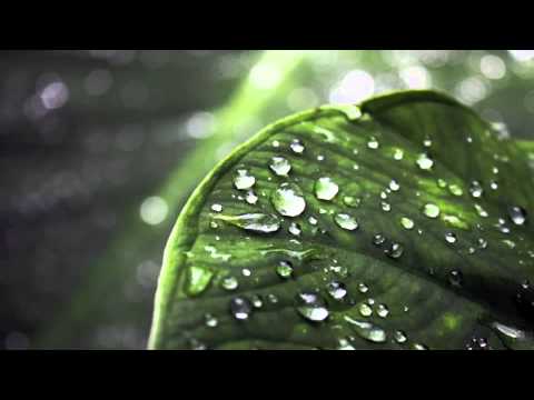 Florence & The Machine - What the Water Gave Me (Dibby Dougherty & David Young's 'DhARMA Edit')