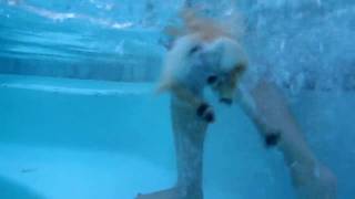 Willis, swimming