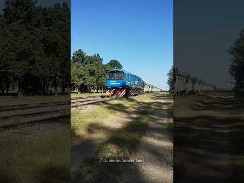 TAC CRRC 9429 #trenesargentinoscargas #ferrocarrilesargentinos #railway #argentina #train #fyp #fypシ