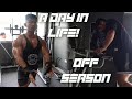 A DAY IN LIFE OF A FITNESS YOUTUBER | OFF SEASON CUTTING