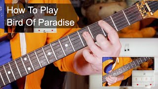 'Bird Of Paradise' Snowy White Guitar &amp; Bass Lesson
