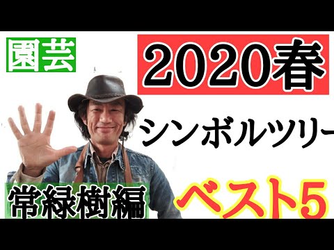 小さな庭用の木 トピックス