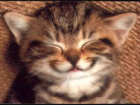 download lagu mp3 mp4 Mon Gat, download mp3 Mon Gat free download mp3, download mp3 Mon Gat